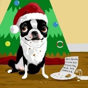 Meet your Posher, Christi